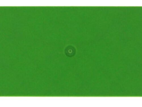 Flasque Contaclip - Pour borne de raccordement push-in 2.5 - 4 mm² - Vert