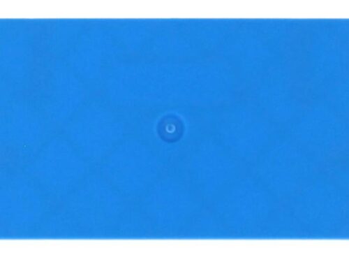 Flasque Contaclip - Pour borne de raccordement push-in 2.5 - 4 mm² - Bleu