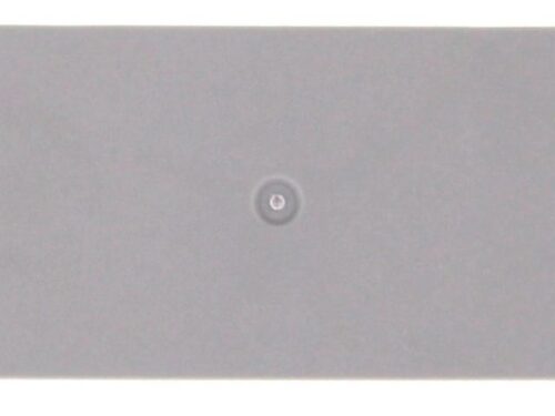 Flasque Contaclip - Pour borne de raccordement push-in 2.5 - 4 mm² - Gris