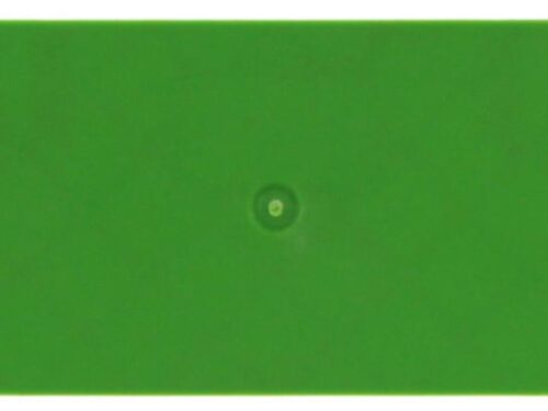 Flasque Contaclip - Pour borne de raccordement push-in 4 - 6 mm² - Vert